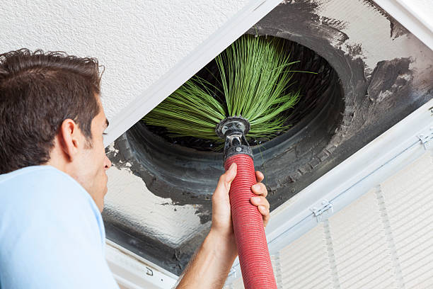 Air Duct Mold Removal in Ellensburg, WA